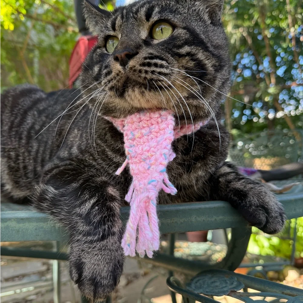 2 for 1 Cozy Cat / dog Scarf